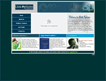 Tablet Screenshot of linkoptionsng.com